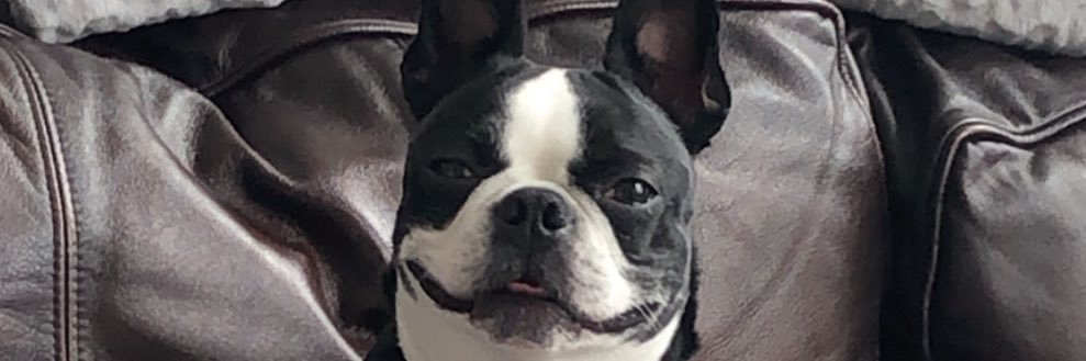vladdygurl's profile banner image