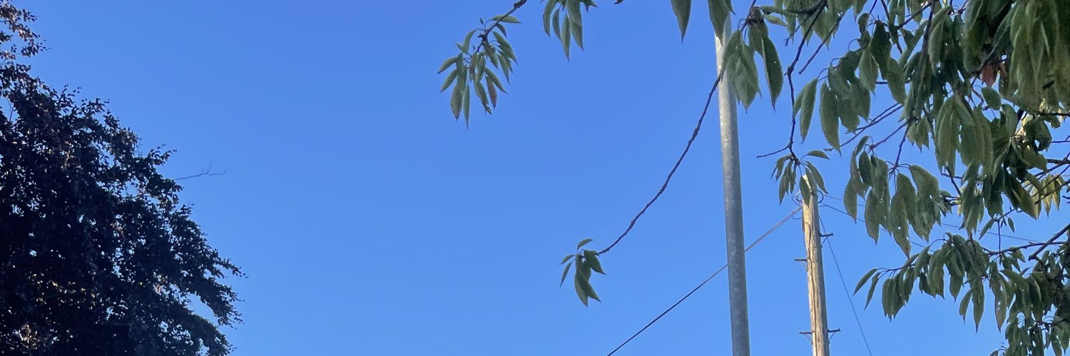 Winzèl banner
