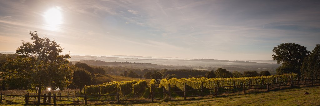 BlackdownRidge's profile banner image