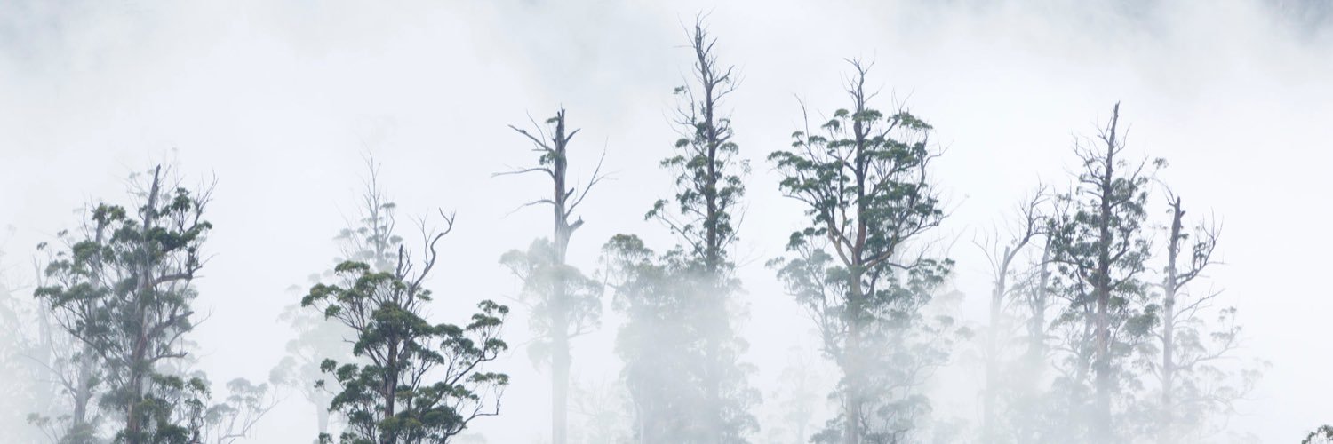 spphoto's profile banner image