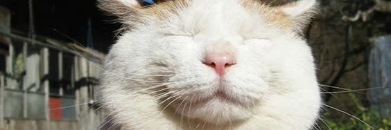 _Oscr's profile banner image