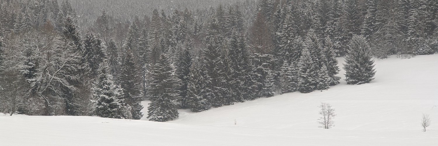 TheLJWhite's profile banner image