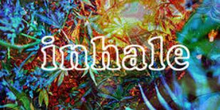 tay_hooper's profile banner image