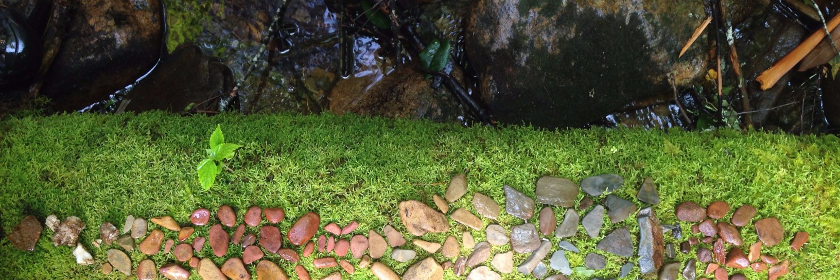 Jason Johnson banner