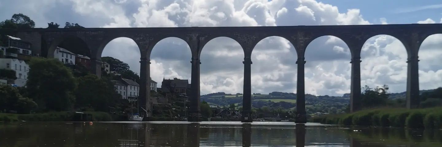 Carrie-ann Bailey banner