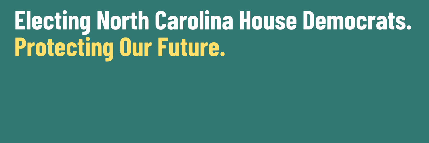 NC Democratic Party House Caucus's banner