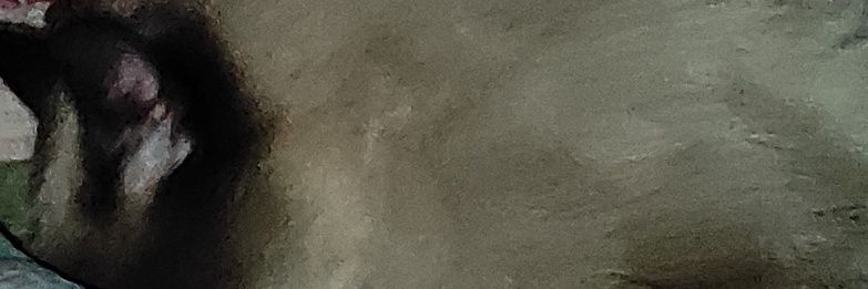 luisfer1326's profile banner image