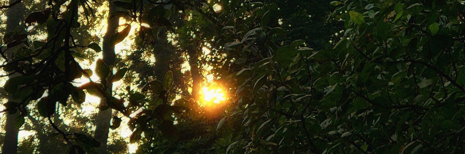 coreyfowlerr's profile banner image