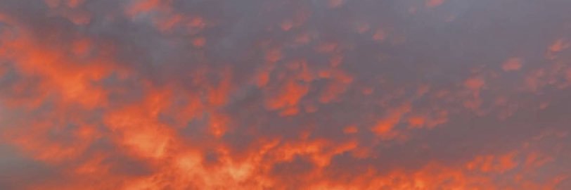 Brandon Tucker banner