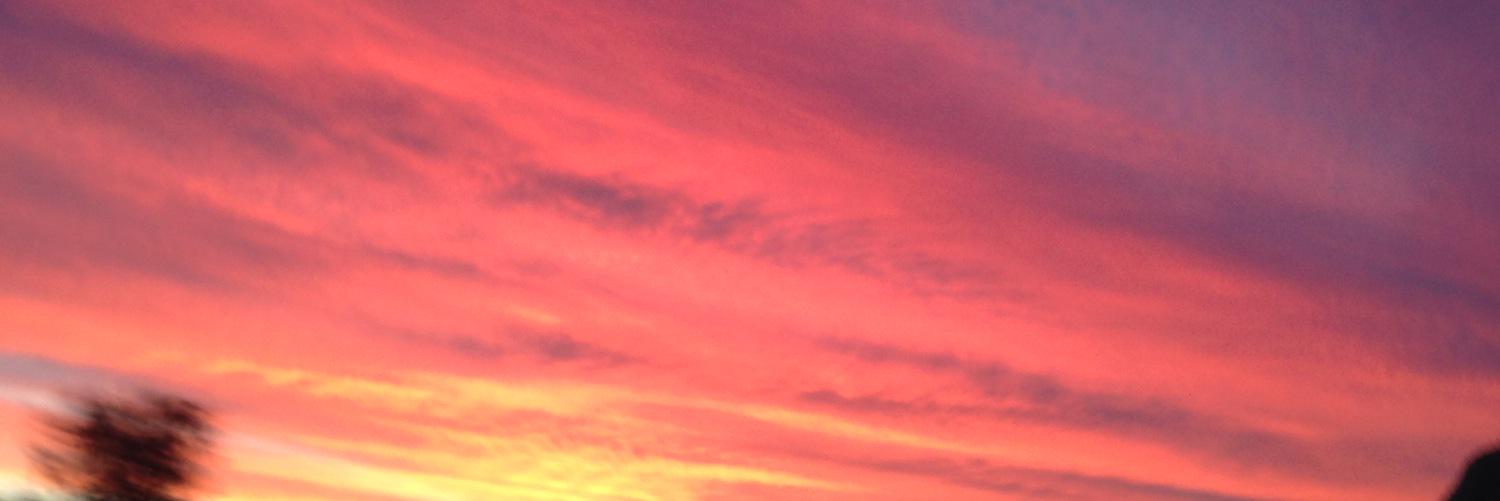 CandyWarner12's profile banner image