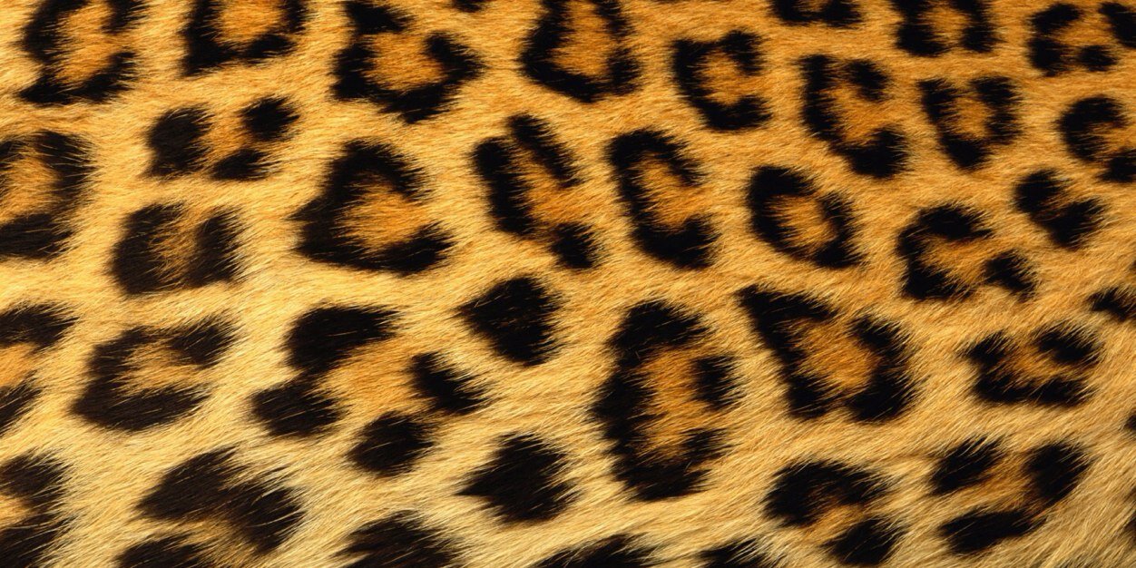 missfiit__'s profile banner image