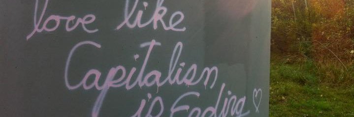 Insect Fanny Pack banner