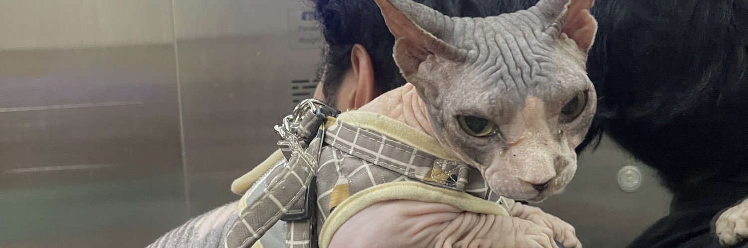 Segsyarab's profile banner image