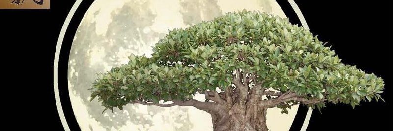 josorl26's profile banner image