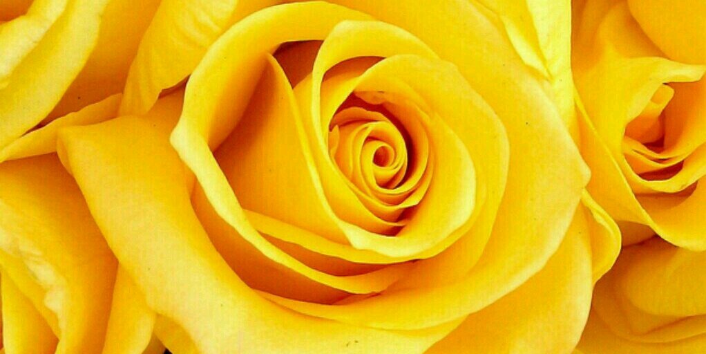 beverlybarnes28's profile banner image