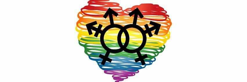 Angela Galliat 😺 banner