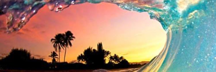 Ms_Gaudio's profile banner image