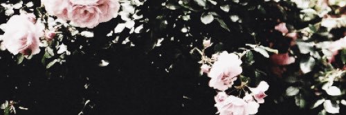 ALubenskaya's profile banner image