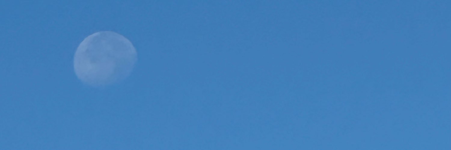 notomii's profile banner image