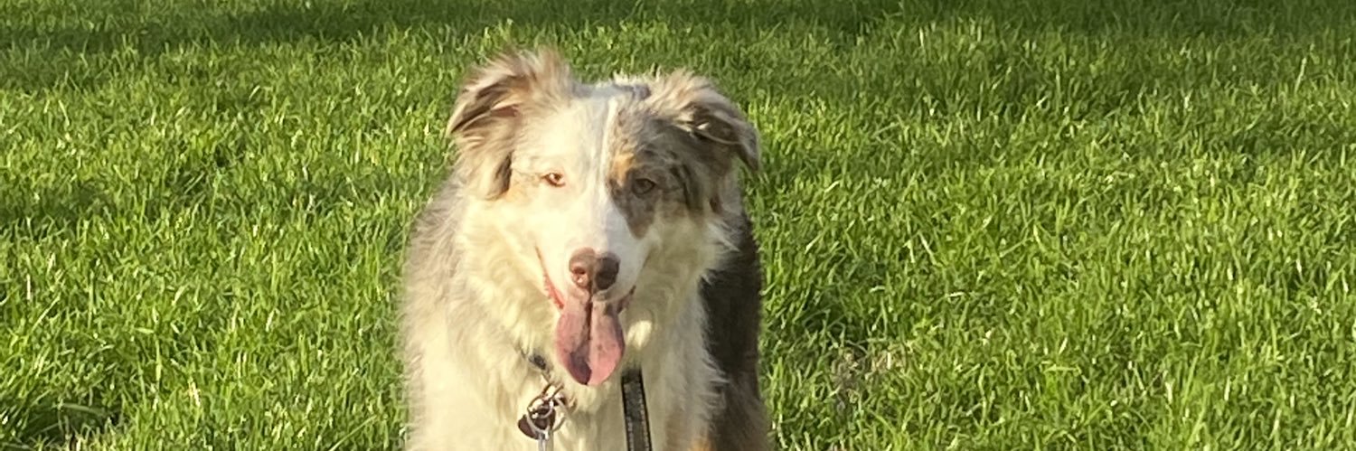 danileander83's profile banner image