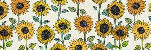 MaddieAMitchell's profile banner image