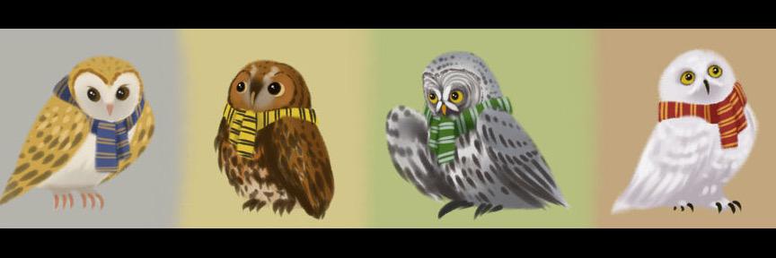 HPOwlPost's profile banner image