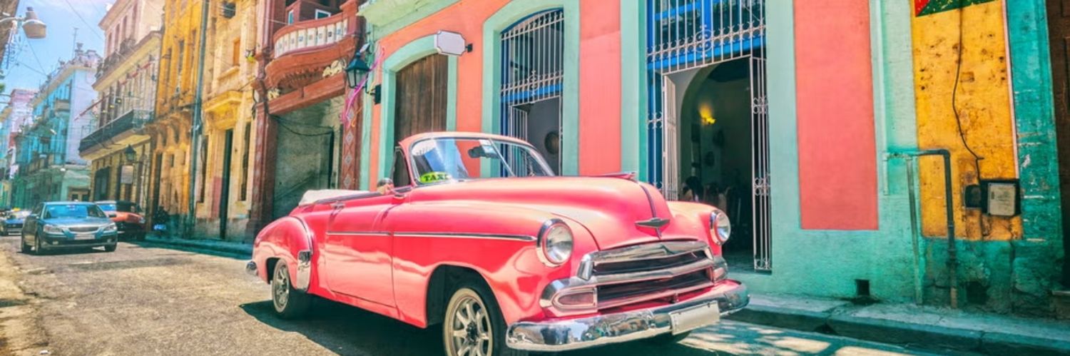 Papa D °|||||||° banner