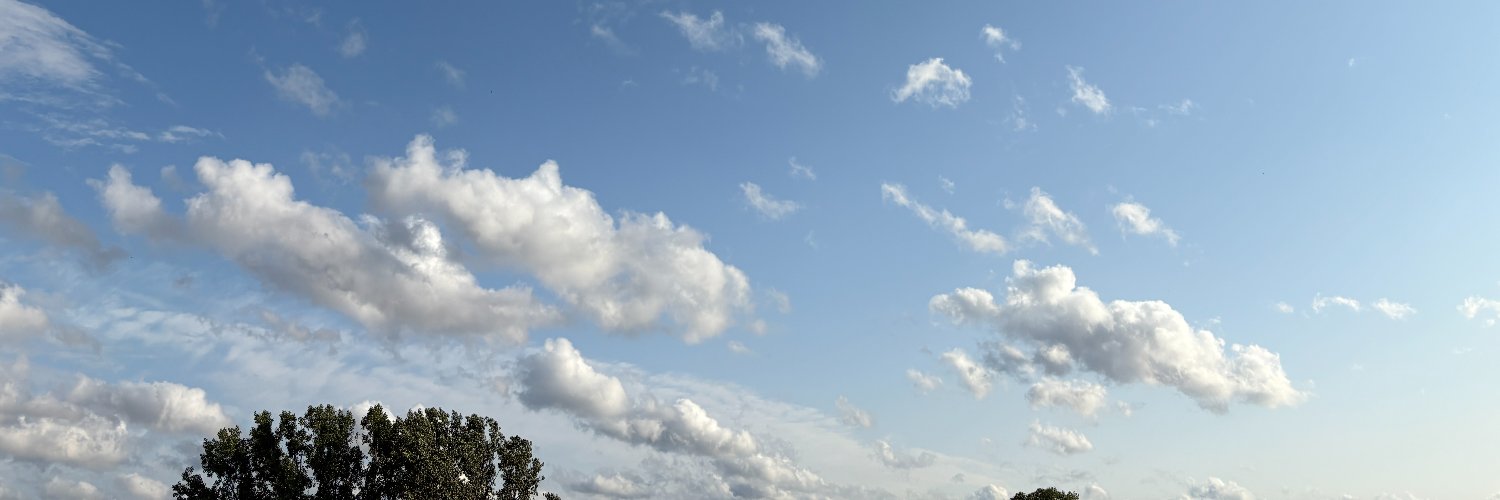 Philipp Siebert banner