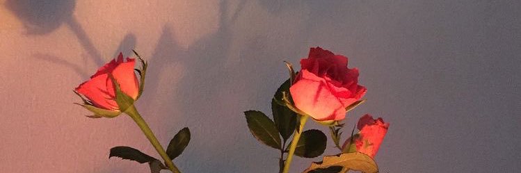 Alxi110403's profile banner image