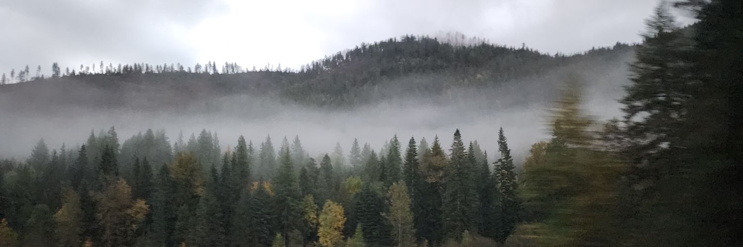 AlmdJoy's profile banner image