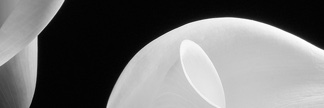 igoquality's profile banner image