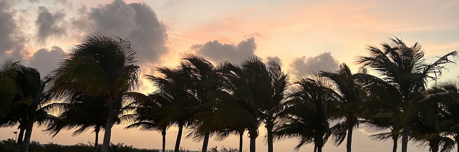 crysxyn's profile banner image