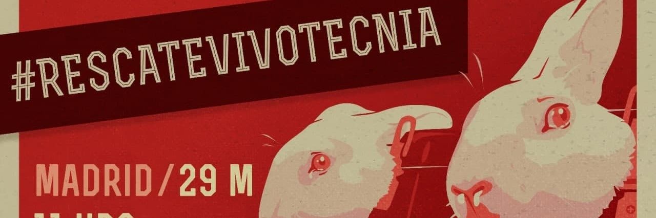 🌱Majo Ribera🌱 banner