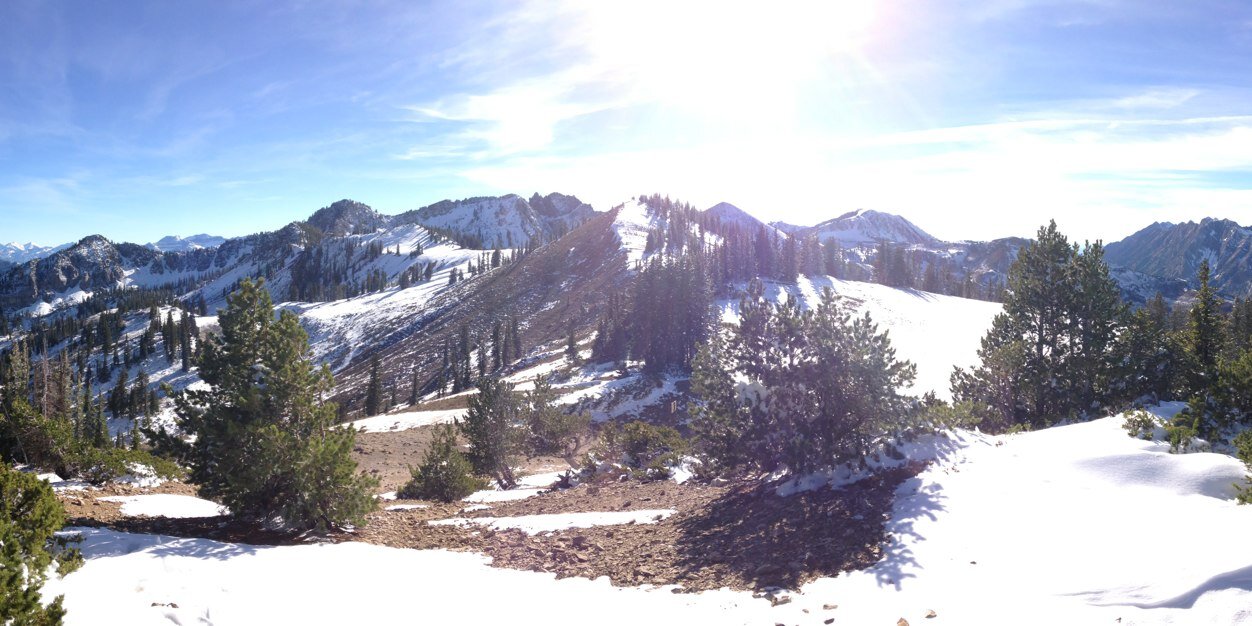 Paige Patterson banner