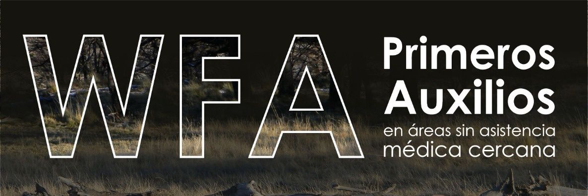 PabloNovoaeco's profile banner image