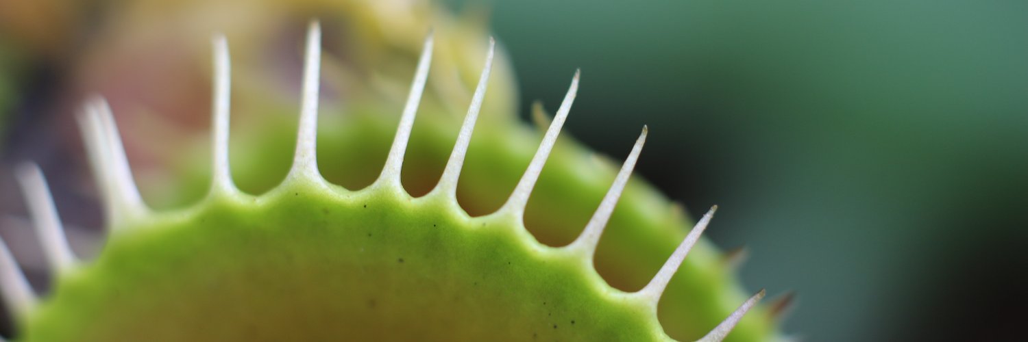 thiscrissguy's profile banner image