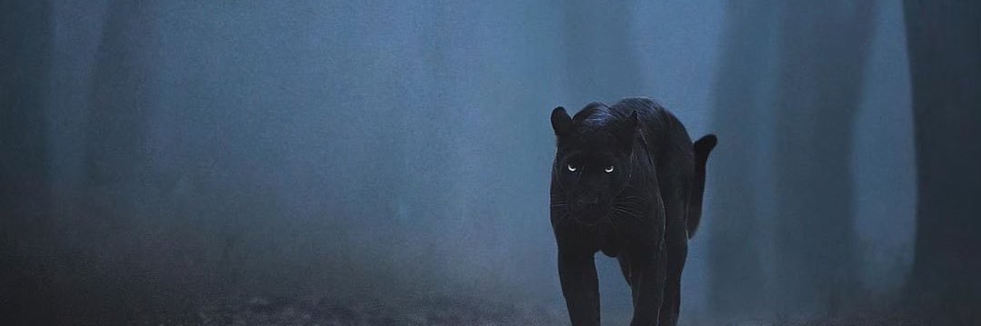 KingMyCo's profile banner image