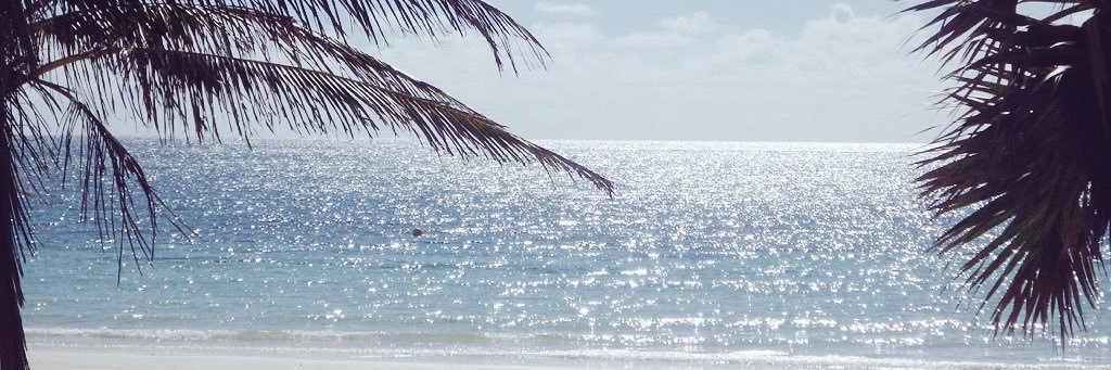 GreekPrincess89's profile banner image
