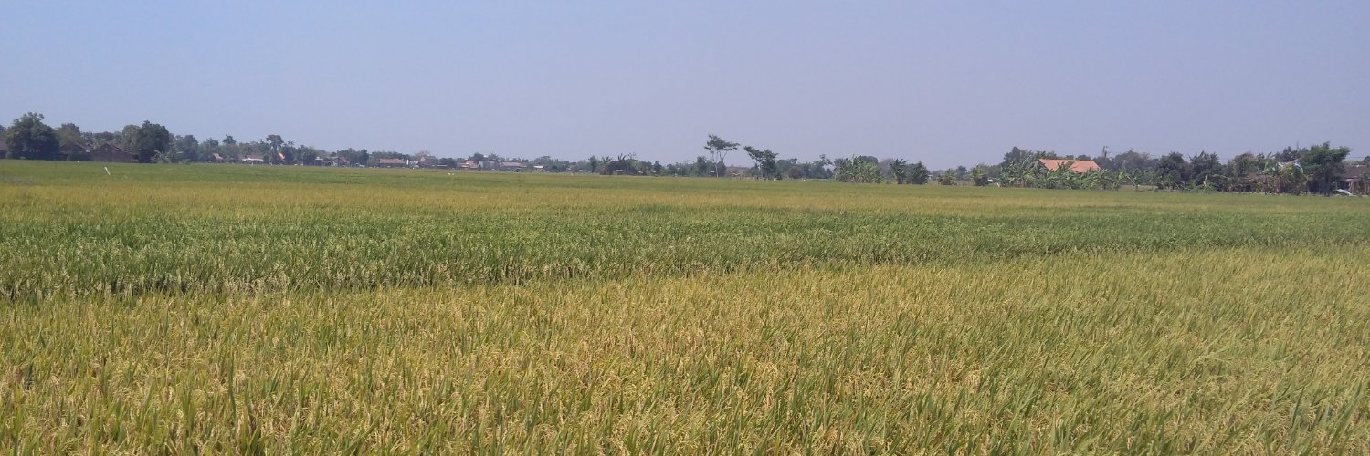 kancanedrogba's profile banner image