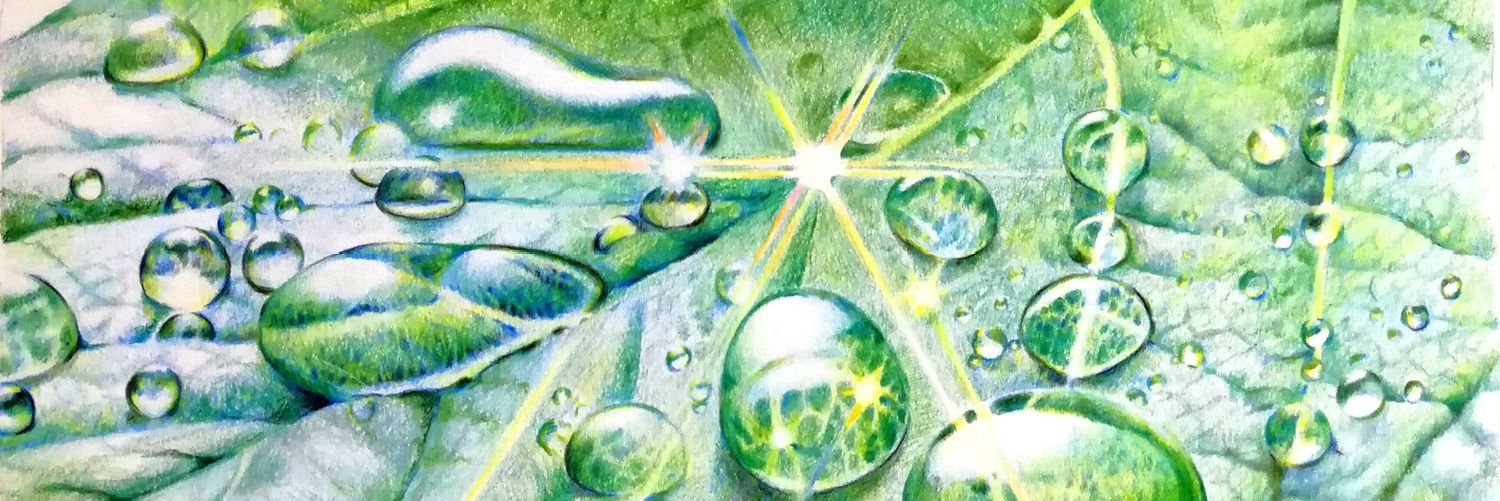 藤本靖子　色鉛筆画家 banner