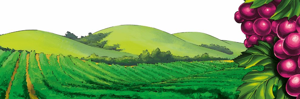 KUSnn's profile banner image