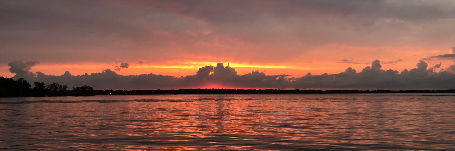 laurynolson3's profile banner image
