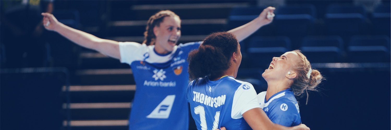 sandra erlingsdottir banner