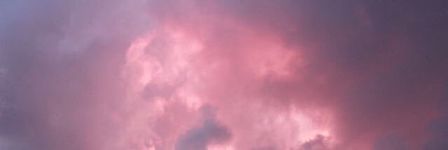 Chelsea Burdick banner