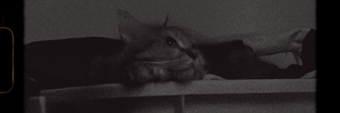 ☁️ banner