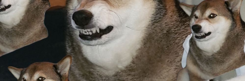 I_Study_Wumbo's profile banner image