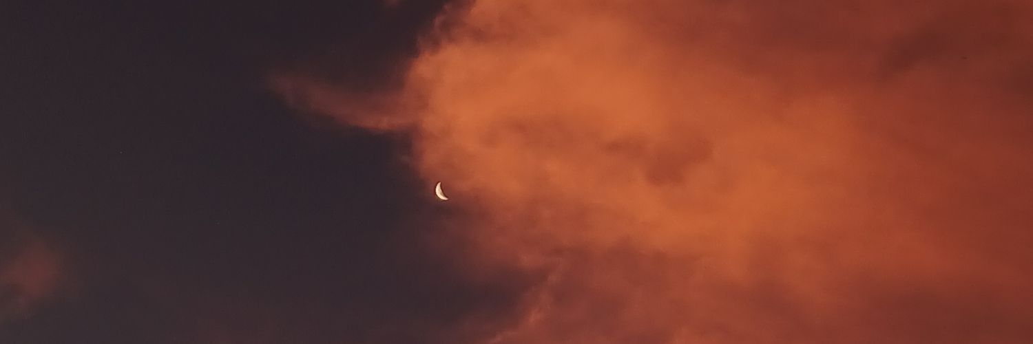 lujis_'s profile banner image