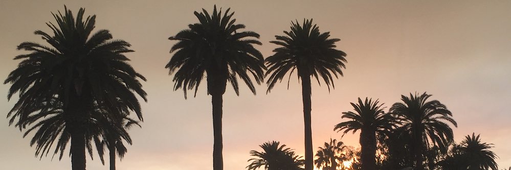 minaknock's profile banner image