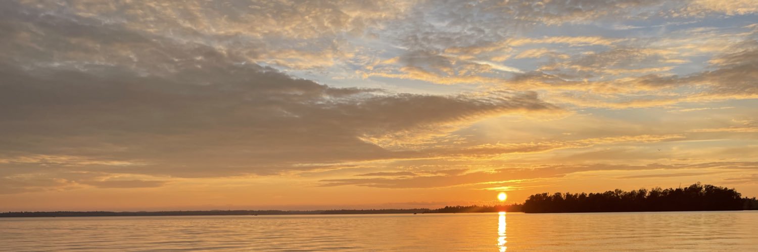 James Langer banner