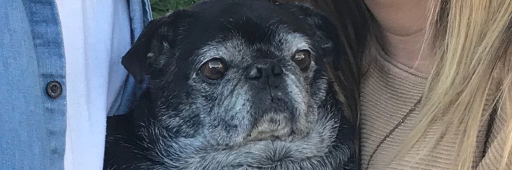 T_LAWZ's profile banner image